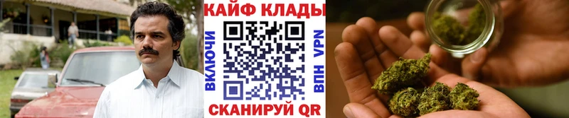 Как найти закладки Ноябрьск A-PVP  Меф мяу мяу  Конопля  Кокаин 