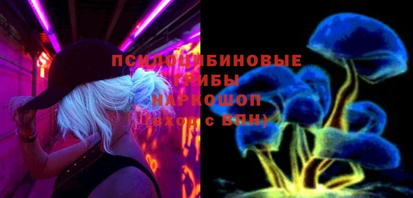 apvp Алзамай