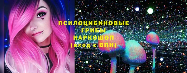apvp Алзамай