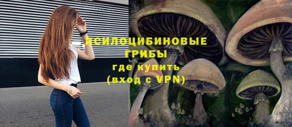 apvp Алзамай