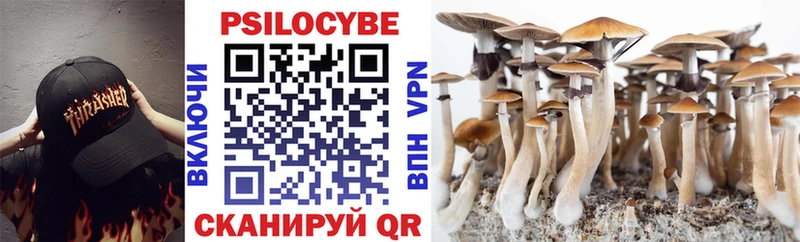 ОМГ ОМГ как войти  Ноябрьск  Галлюциногенные грибы Cubensis  закладки 